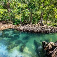 Solving-FCB Q1 ’24 Case Study Update