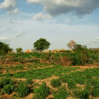 Solving-FCB Q2 ’24 Case Study Update