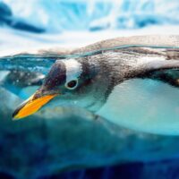 Media Coverage Roundup – October 2022