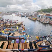 Ghana & Nigeria Case Study: Overview