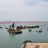 China Case Study: Overview