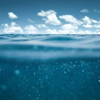 Media Coverage Roundup Q1 2024