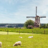Netherlands Case Study: Overview
